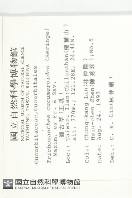 王瓜藏品圖，第2張