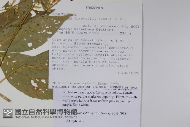 登錄號:S096328藏品圖，第2張