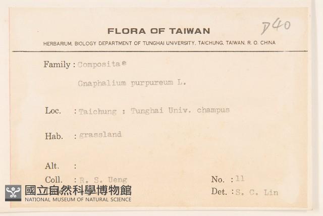 鼠麴舅藏品圖，第2張