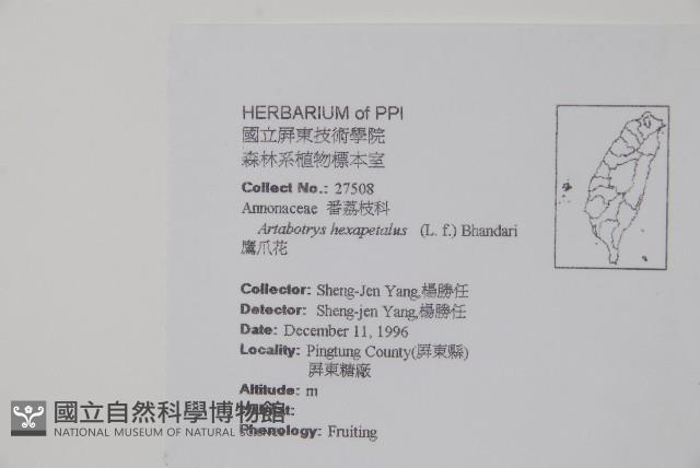 鷹爪花藏品圖，第2張