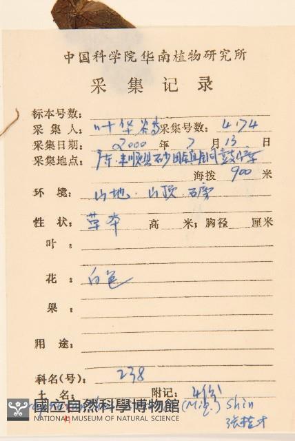 山苦藚、假福王草藏品圖，第2張