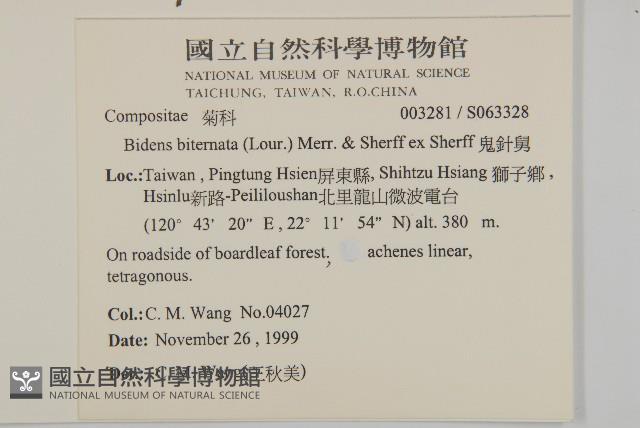 鬼針舅藏品圖，第2張