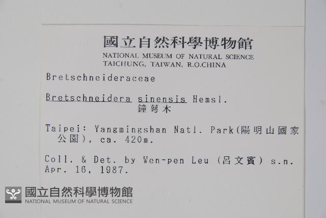 鐘萼木藏品圖，第2張