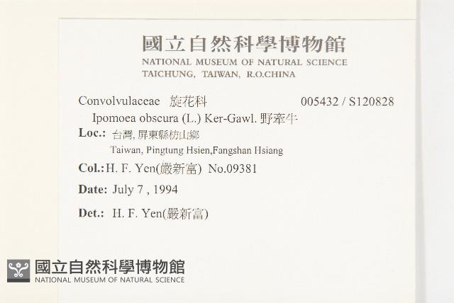 野牽牛藏品圖，第2張