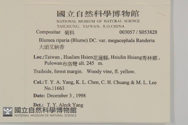 Accession Number:S053828 Collection Image, Figure 5, Total 5 Figures