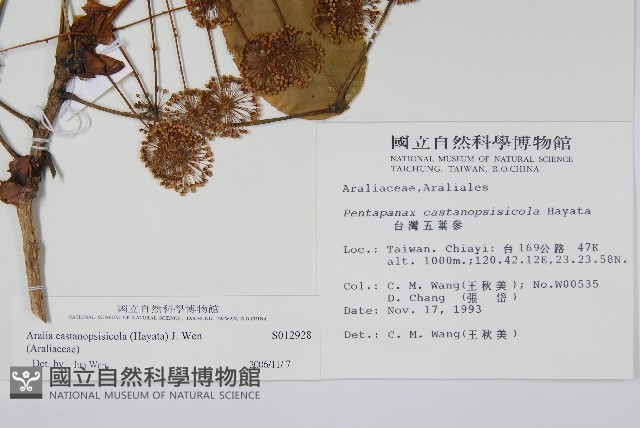 登錄號:S012928藏品圖，第2張