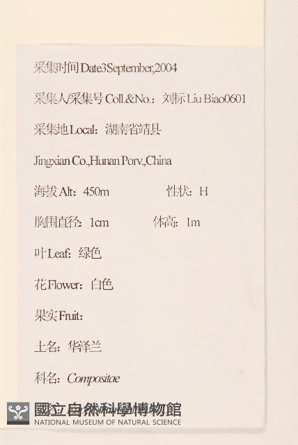 華澤蘭藏品圖，第2張