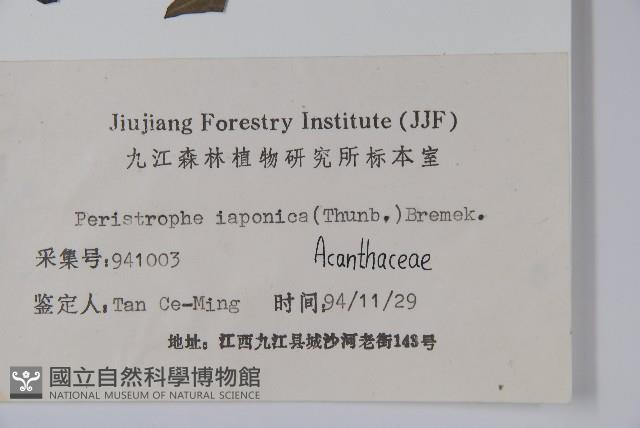 九頭獅子草藏品圖，第2張