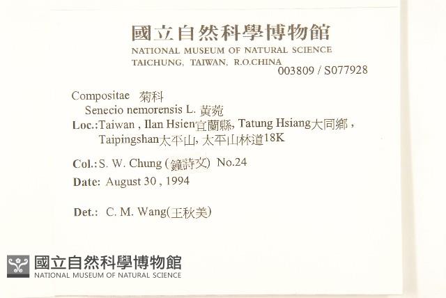 黃菀藏品圖，第2張