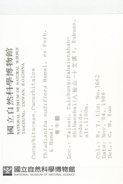 青牛膽藏品圖，第2張