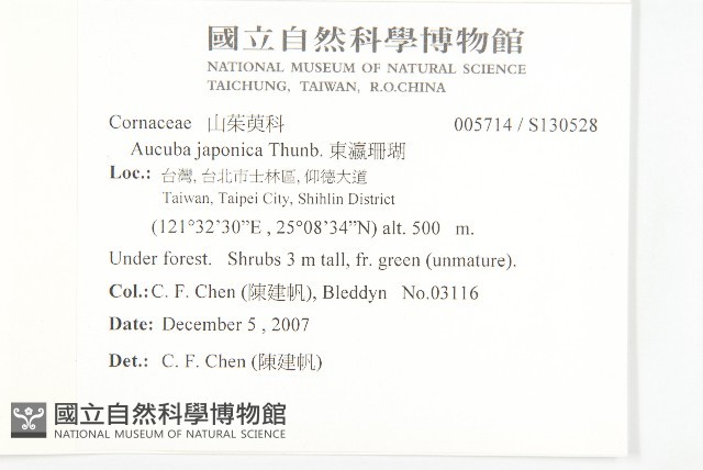 東瀛珊瑚藏品圖，第2張
