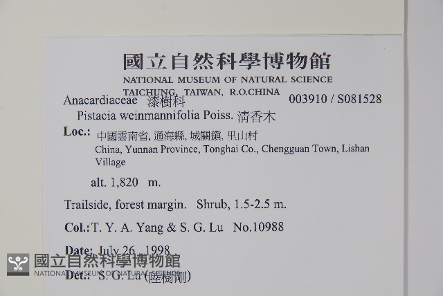 清香木藏品圖，第2張