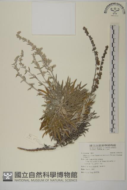 太魯閣艾藏品圖，第2張