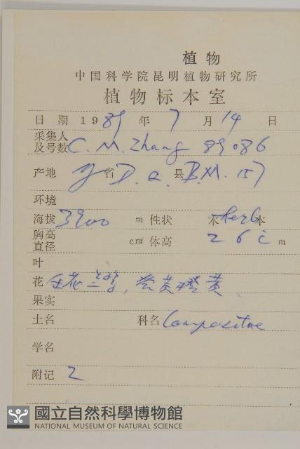 緣毛紫菀藏品圖，第2張