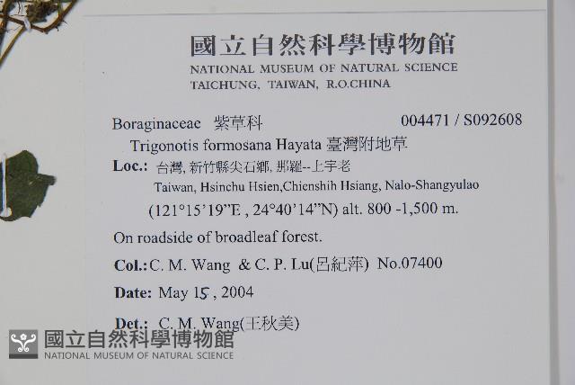臺灣附地草藏品圖，第2張