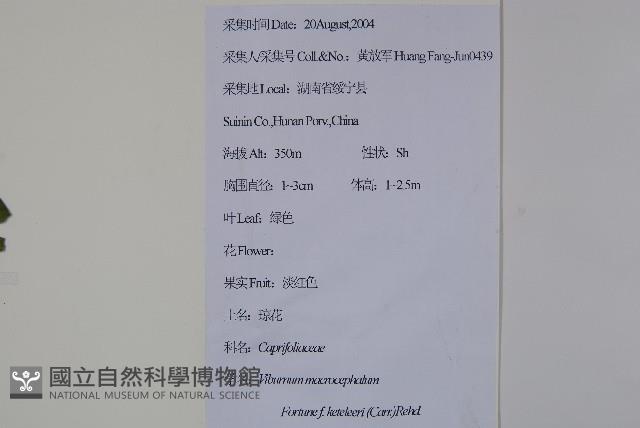 登錄號:S111608藏品圖，第2張