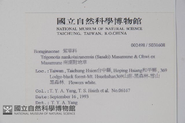 南湖附地草藏品圖，第2張