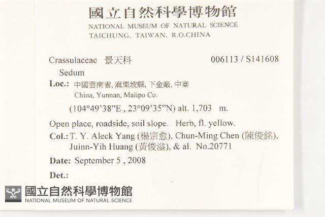 登錄號:S141608藏品圖，第2張