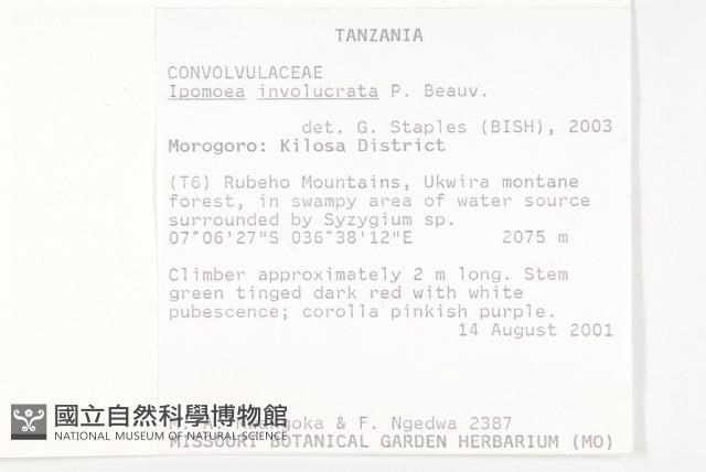 登錄號:S093608藏品圖，第2張