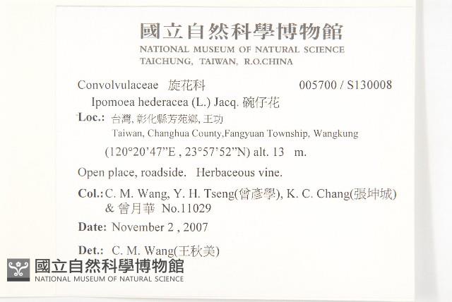 碗仔花藏品圖，第2張