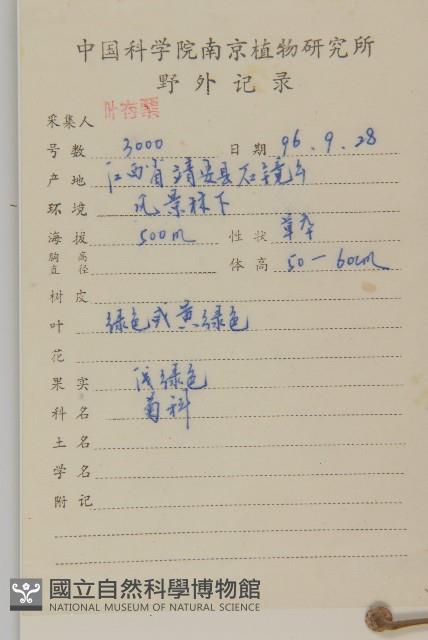 杓兒菜藏品圖，第2張