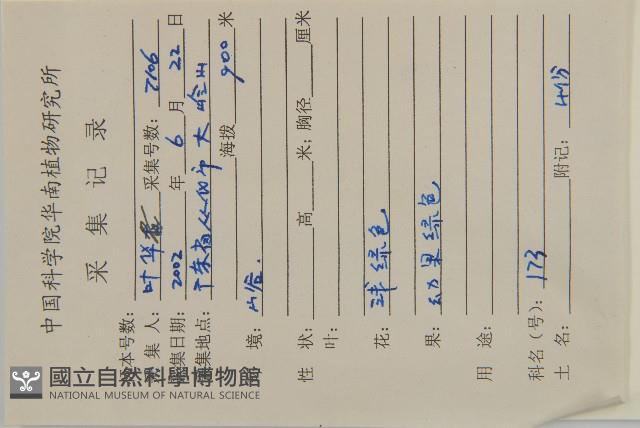 亮葉衛矛、中華衛矛藏品圖，第2張