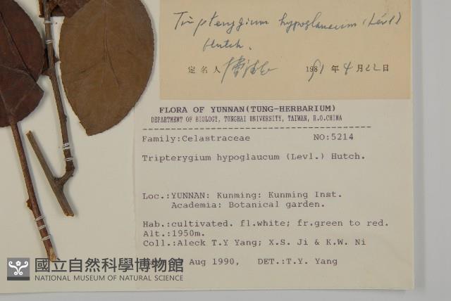 Accession Number:S031708 Collection Image, Figure 2, Total 2 Figures