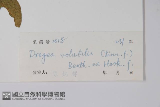 多花磚子苖藏品圖，第2張