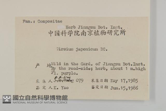 小薊藏品圖，第2張