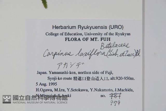 登錄號:S051208藏品圖，第2張