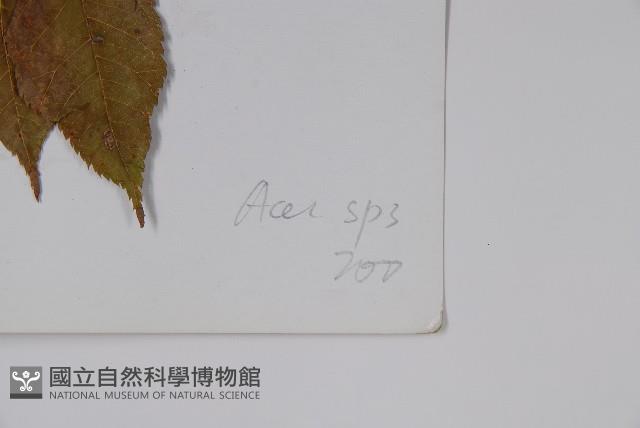 登錄號:S023208藏品圖，第2張