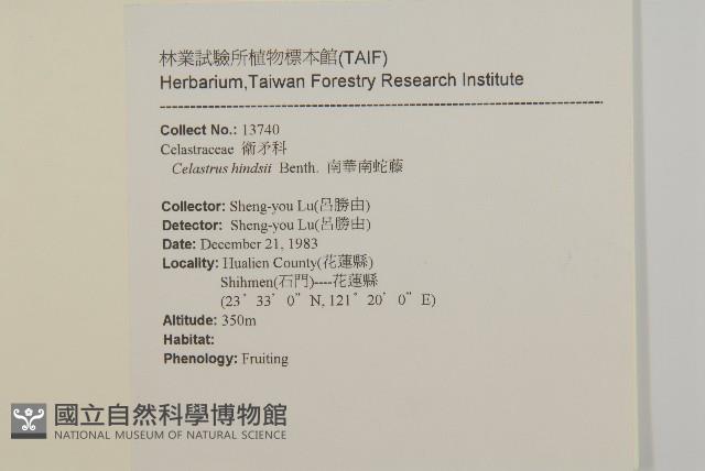 南華南蛇藤，青江藤藏品圖，第2張