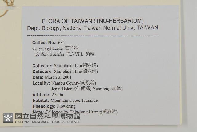 繁縷藏品圖，第2張