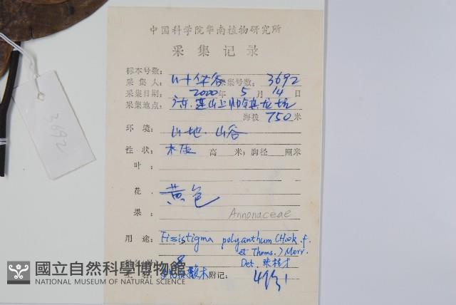 黑風藤藏品圖，第2張