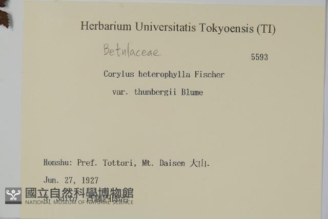 登錄號:S082108藏品圖，第2張