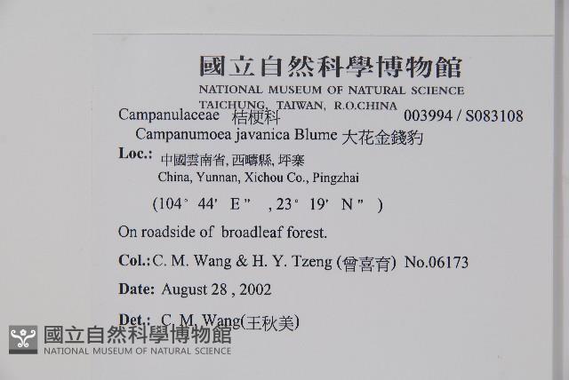 Accession Number:S083108 Collection Image, Figure 2, Total 2 Figures