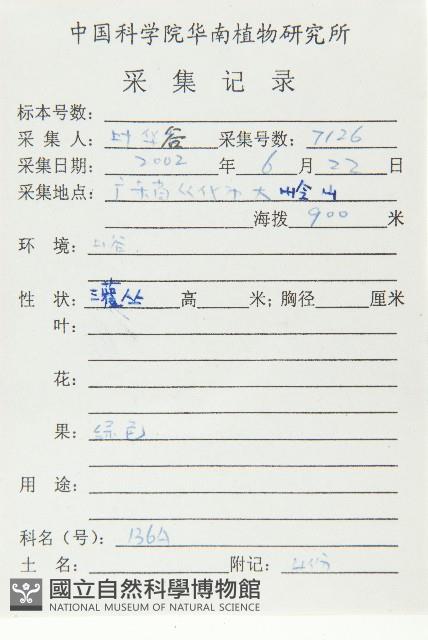 俄氏虎皮楠、蘭嶼虎皮楠、虎皮楠藏品圖，第2張