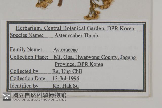 東鳳菜藏品圖，第2張