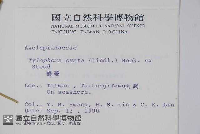 鷗蔓藏品圖，第2張