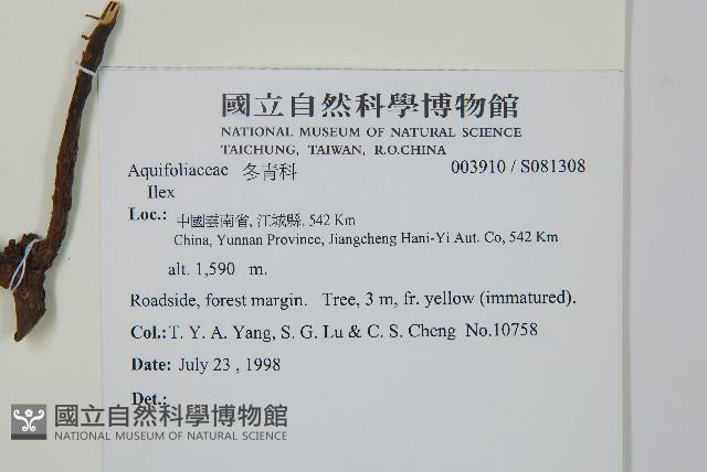 登錄號:S081308藏品圖，第2張