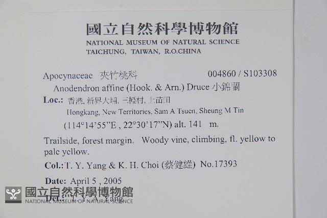 小錦蘭藏品圖，第2張