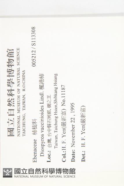 楓港柿藏品圖，第2張