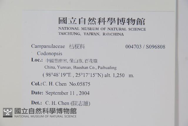 登錄號:S096808藏品圖，第2張