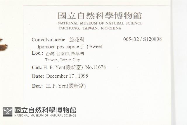 登錄號:S120808藏品圖，第2張