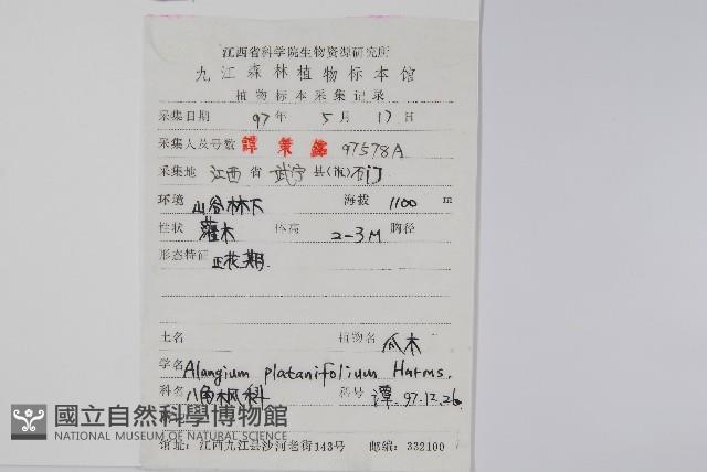 八角楓、瓜木藏品圖，第2張