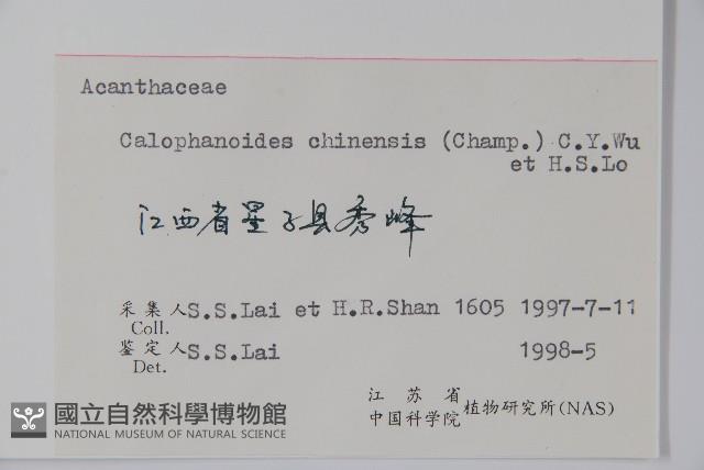 杜根藤藏品圖，第2張