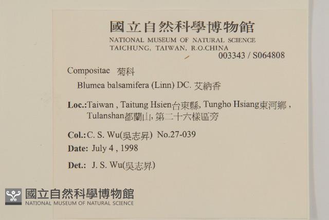 艾納香藏品圖，第2張