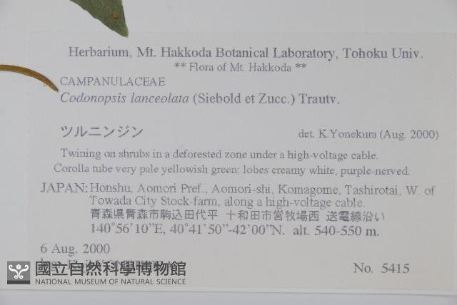 羊乳、四葉參藏品圖，第2張