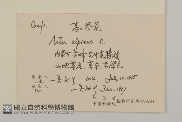 高山紫苑藏品圖，第2張