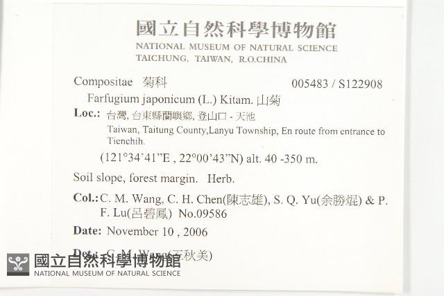 山菊藏品圖，第2張